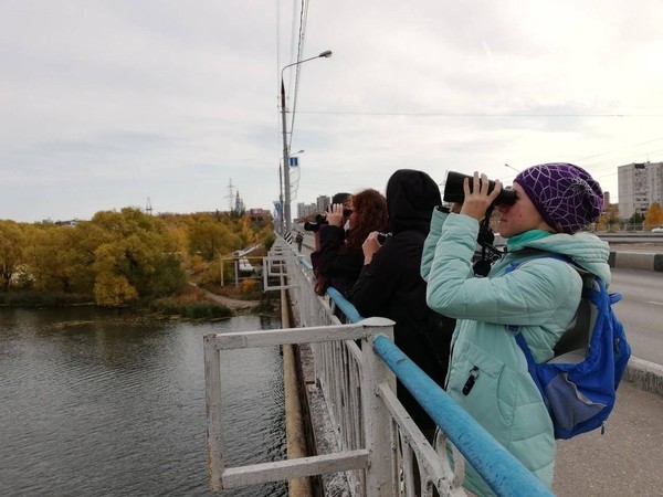 Орнитологическая экскурсия в центре Ульяновска