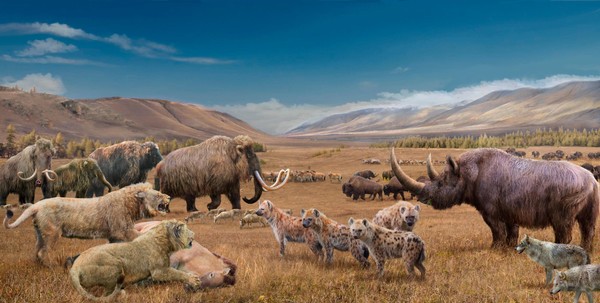 Экскурсия «Мамонтовая фауна»