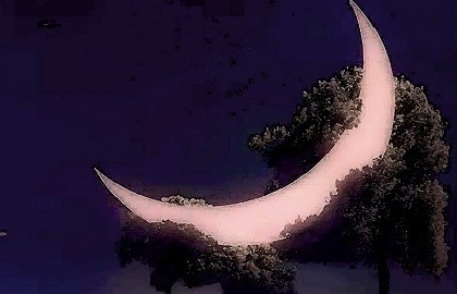 Концерт для полуночников