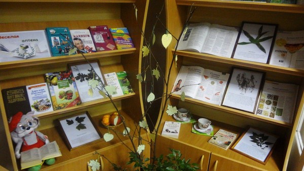 Урок экологии «Необычные деревья мира»