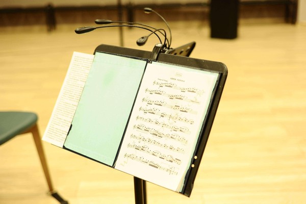 Концерт Алексея Кошванца