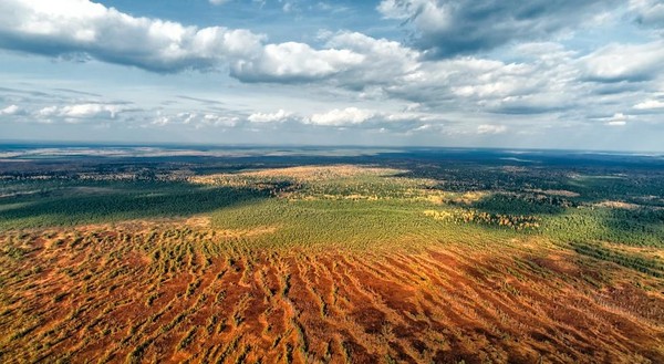 Фотовыставка «Соседи»