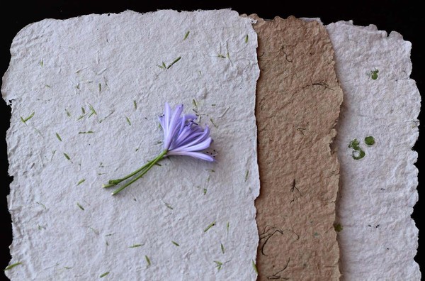 Мастер-класс «Открытка своими руками»