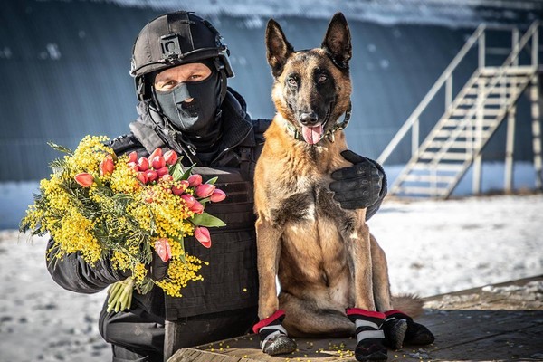 Выставка «Хвостатые герои на фронте и в тылу»
