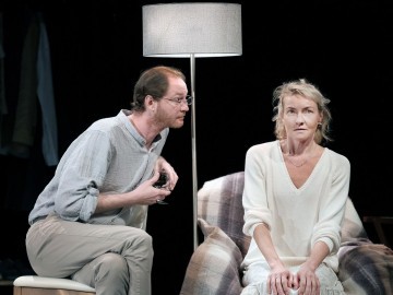 Сцены из супружеской жизни