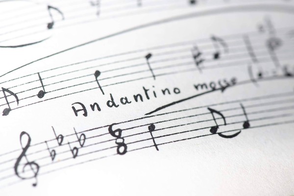 Мастер-класс по сольфеджио и элементарной теории музыки