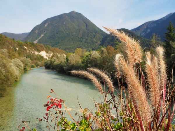 «Тема Родины в песнях советских композиторов»