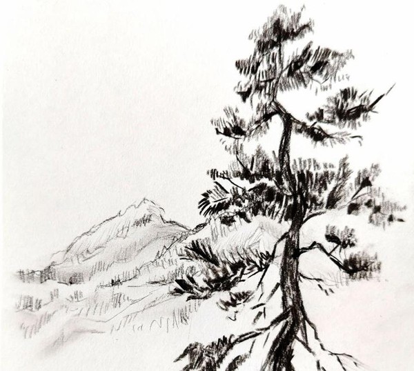 Музейное занятие «Китайская живопись. «Танцующая сосна». Техника гохуа»