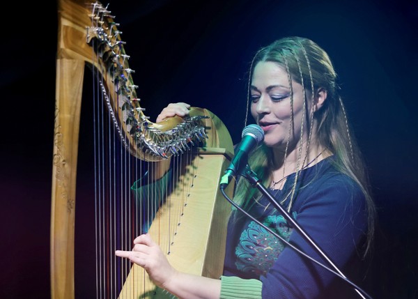 Орган и кельтская арфа