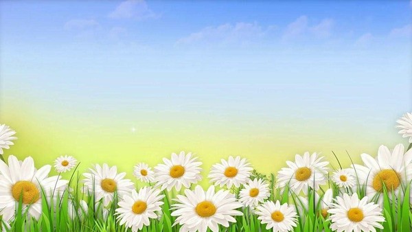 Интерактивно-развлекательная программа «Хранители традиций»