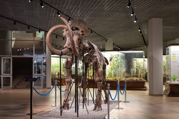 Экскурсия «Среда обитания»