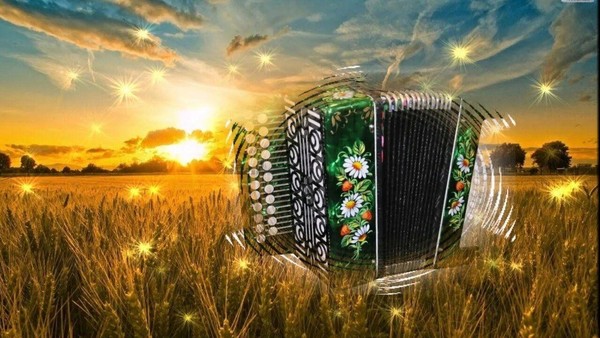 «Песни под баян для души». Программа для людей старшего поколения