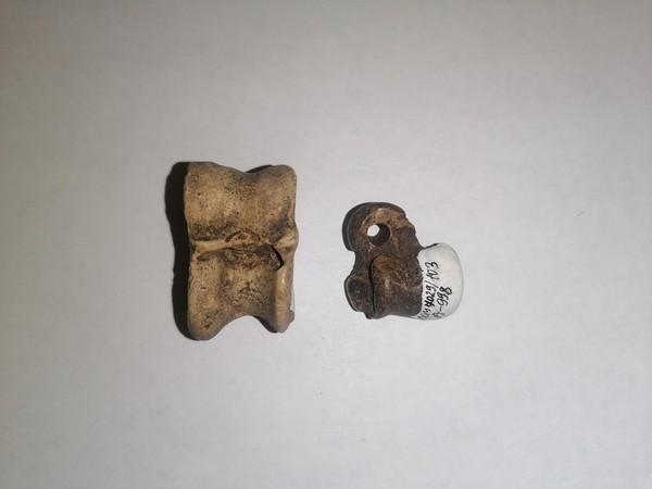 Тематическая беседа «Подвески из костей и клыков животных»