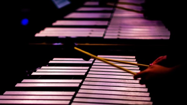 Необыкновенный концерт. От маримбы до калимбы