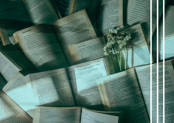 Цикл встреч «Доступно о классиках»