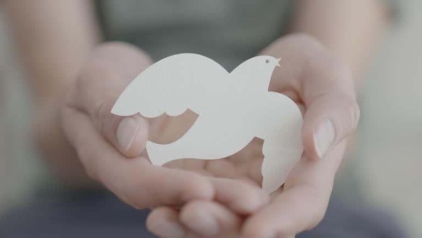 Программа «Мир без тревоги и слез»