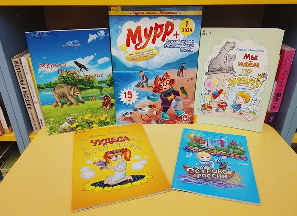 Литературный час «Узнаем лучше край родной!»