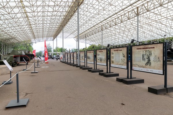 Фотовыставка «На боевом посту» ко Дню войск национальной гвардии РФ