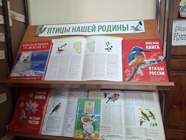 Выставка «Птицы нашей Родины»