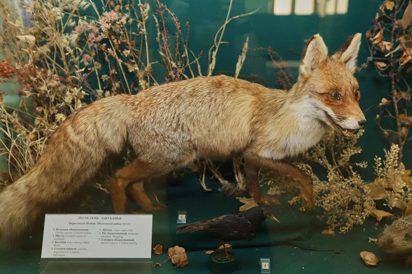 Передвижная выставка «Природа Краснодарского края»