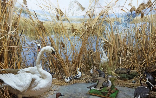 Экскурсия «Природа Анапского района»