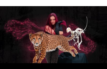 Маргарита Чайка. Изнанка таксидермии