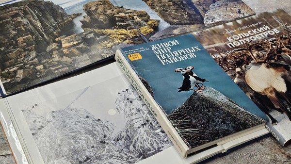 Квиз-игра «Знатоки Севера»