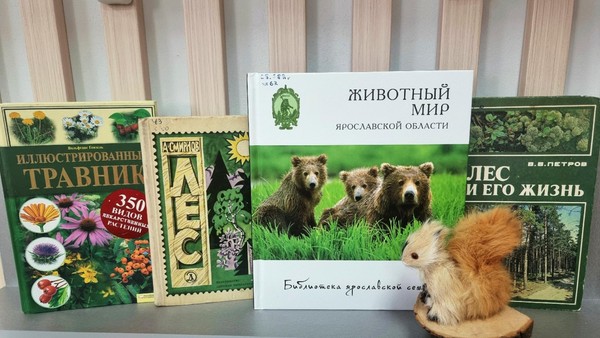 Тематический день «Лесные истории»