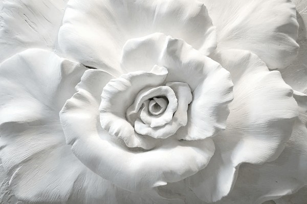 Лекция «От лепестков к стихам: роль розы в культуре и искусстве»