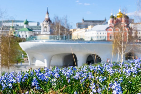 Обзорная экскурсия по парку «Зарядье»