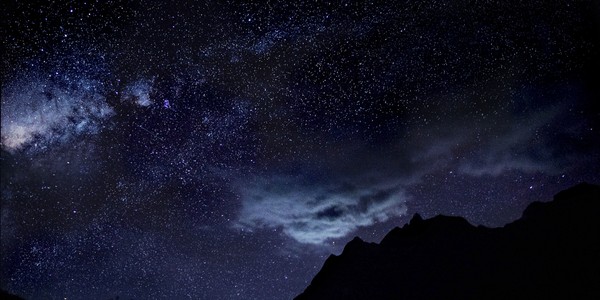 Динозавры. История выживших