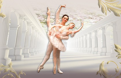 Спящая красавица