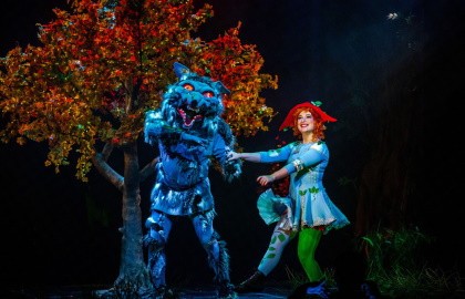 Красная шапочка