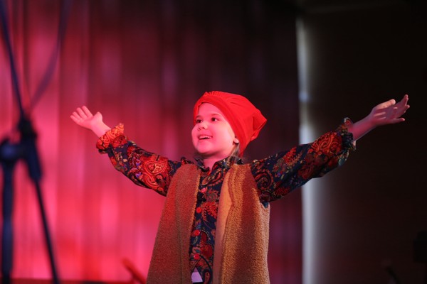 Странствия Нильса с дикими гусями