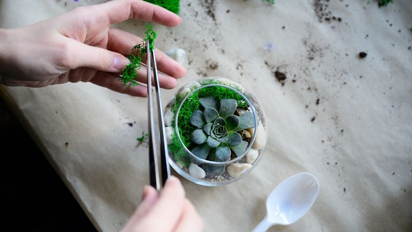 Создание флорариума