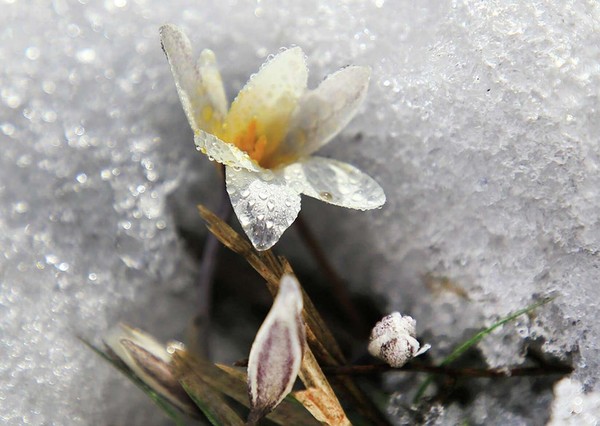 «Встреча с весной»