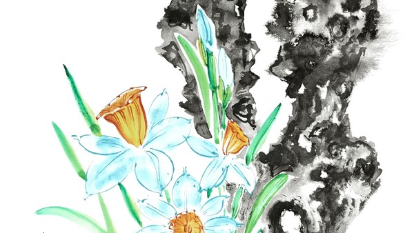 Мастер класс «Нарцисс и камень тайху»