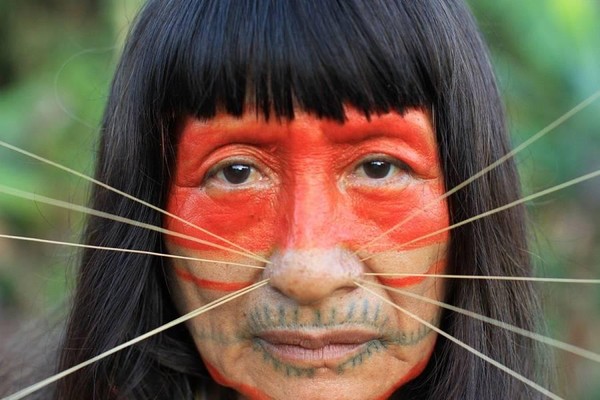 Лекция «Амазония сегодня»