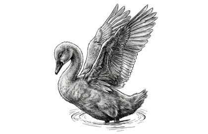 Гадкий утенок