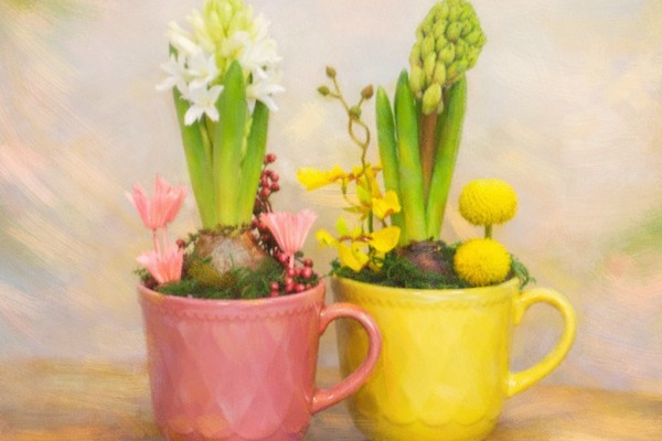 Цветочная композиция с живым гиацинтом