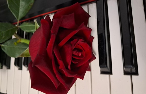 Спасибо за искусство