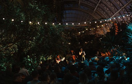 Магия свечей. Frank Sinatra. Джаз