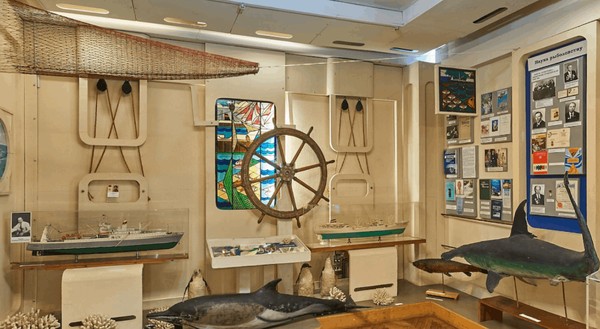 Проект «По страницам истории»