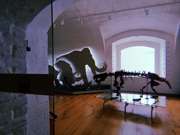 Экскурсия «Палеонтологическая летопись Архангельской земли»