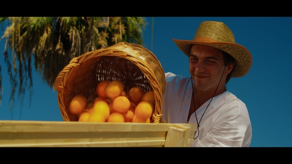 Мандариния-страна чудес