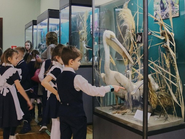 Экскурсия по передвижной выставке «Природа Краснодарского края»