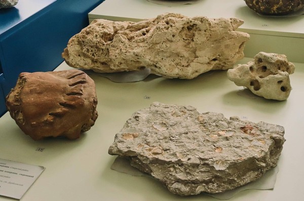 Экскурсия по передвижной выставке «Геологический калейдоскоп»