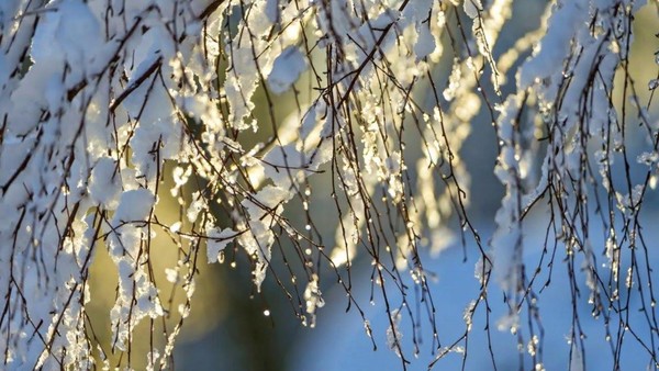 Выставка «Весенняя фантазия»