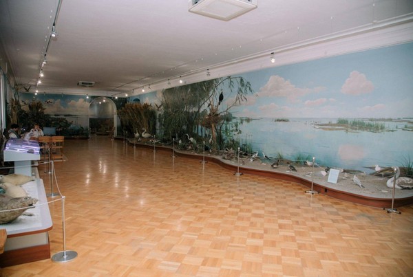 Тематическое мероприятие «Мир живых организмов»