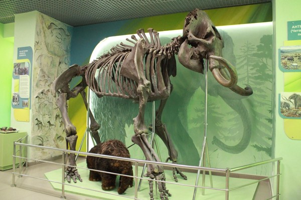 Обзорная экскурсия по Омскому государственному историко-краеведческому музею